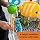Baby Einstein Neptune's Ocean Discovery Activity Baby Jumper Activity Center, Ages 6 Months +, Max Weight 25 lbs., Unisex