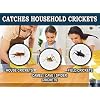 MaxGuard Extra Large Cricket Traps (8 Traps) | Non-Toxic Extra Sticky Glue Board Pre-Baited Cricket Attractant Trap & Kill House Crickets, Insects, Spiders, Bugs