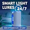 Zevo MAX Bug Catcher and Gnat & Fruit Fly Trap Indoors, 1 Base & 2 Refills | Fits 2x More Bugs Than Original Zevo Trap, Catches House Flies, Gnats & Fruit Flies 24/7, Blue & UV Light, No Insecticides