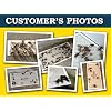 MaxGuard Extra Large Cricket Traps (8 Traps) | Non-Toxic Extra Sticky Glue Board Pre-Baited Cricket Attractant Trap & Kill House Crickets, Insects, Spiders, Bugs